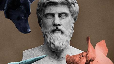 HS Kirjaston viikon kirja on kreikkalaisfilosofi Plutarkhoksen Eläinten älykkyydestä ja muita kirjoituksia