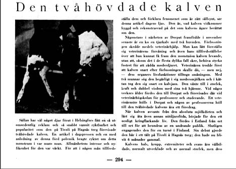 Allas Krönika -lehti kertoi 16. toukokuuta 1931, että Virossa syntynyt vasikka imi kahdella suullaan emänsä maitoa.