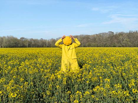 Elina Brotherus: Baldessari in the Park (Yellow Field), 2021, pigmenttivedos.
