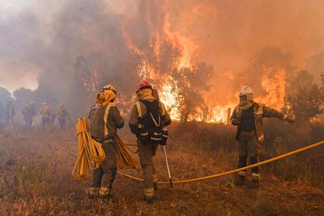 Helteiden ja äärimmäisen kuivuuden seurauksena eri puolilla Etelä-Eurooppaa on syttynyt mittavia maastopaloja, ja kymmeniätuhansia ihmisiä on evakuoitu palojen tieltä. Espanjassa paloi metsää 18. kesäkuuta. 