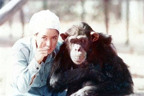 Janis Carter sanoo dokumentissa kohdanneensa Lucy-simpanssin tasaveroisena persoonana.