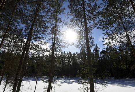 Metsähallitus hallinnoi valtion metsiä esimerkiksi Evon retkeilyalueella Hämeenlinnassa. Evolle on suunniteltu kansallispuistoa, mutta alueella on kiistelty myös hakkuista.