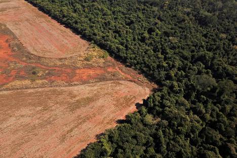 Nova Xavantinassa, Mato Grosson osavaltiossa Brasiliassa 28. heinäkuuta 2021 otettu ilmakuva näyttää metsäkadon Amazonin sademetsän rajalla.