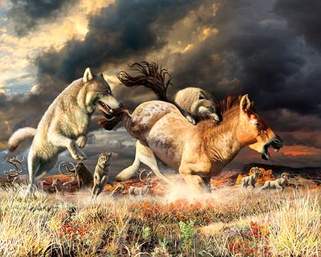 Taiteilijan näkemys Beringian mammuttiaron sudesta.