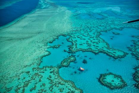 Koralliriutat ovat herkkiä meriveden lämpenemiselle. Suuren koralliriutan vesien viilentämistä on jo pohdittu.