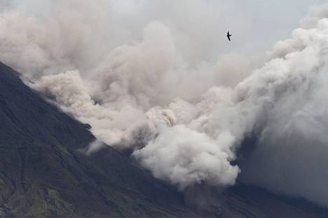 Semeru-tulivuori on jälleen alkanut sylkeä tuhkaa maanantaina 6. joulukuuta. 