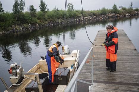 Sodankylän kunta on hankkinut Lokan kalasatamana nykyaikaisia laitteita kuten nosturin, jolla saalislaatikot saa nostettua veneistä maalle. Marjaana Aarnio ohjaa nosturia, ja miesystävä Risto Pyhäjärvi kiinnittää koukut laatikkoon.