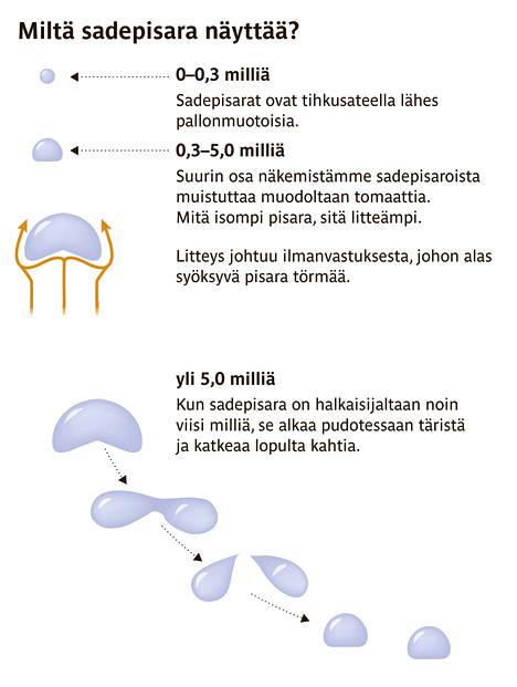 Miten voi sataa sammakoita? - Tiede 