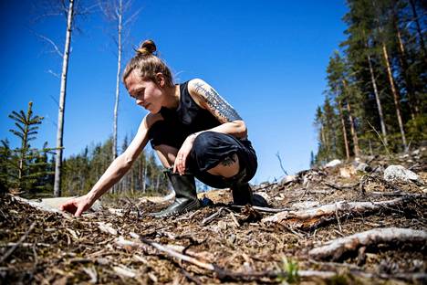 Pieta Hyvärinen sienestää ja marjastaa Sastamalan metsissä. Siellä hänkin joutuu säännöllisesti etsimään uusia apajia jaksollisen metsätalouden vuoksi.