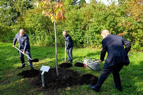 Puolan ulkoministeri Zbigniew Rau, Saksan ulkoministeri Heiko Maas sekä Ranskan ulkoministeri Jean-Yves Le Drian istuttavat puuta Buchenwaldin keskitysleirin uhrien muistoksi syyskuussa 2021.