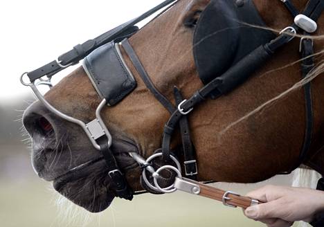Hevosten suuvaurioita havaittiin kaikkien kuolainmallien käytön jälkeen. 