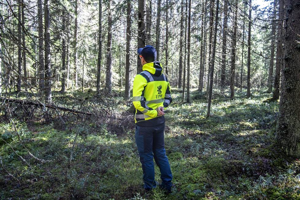 UPM:n ympäristöpäällikkö Tuomas Kara esittelee Harvialan metsiä. 