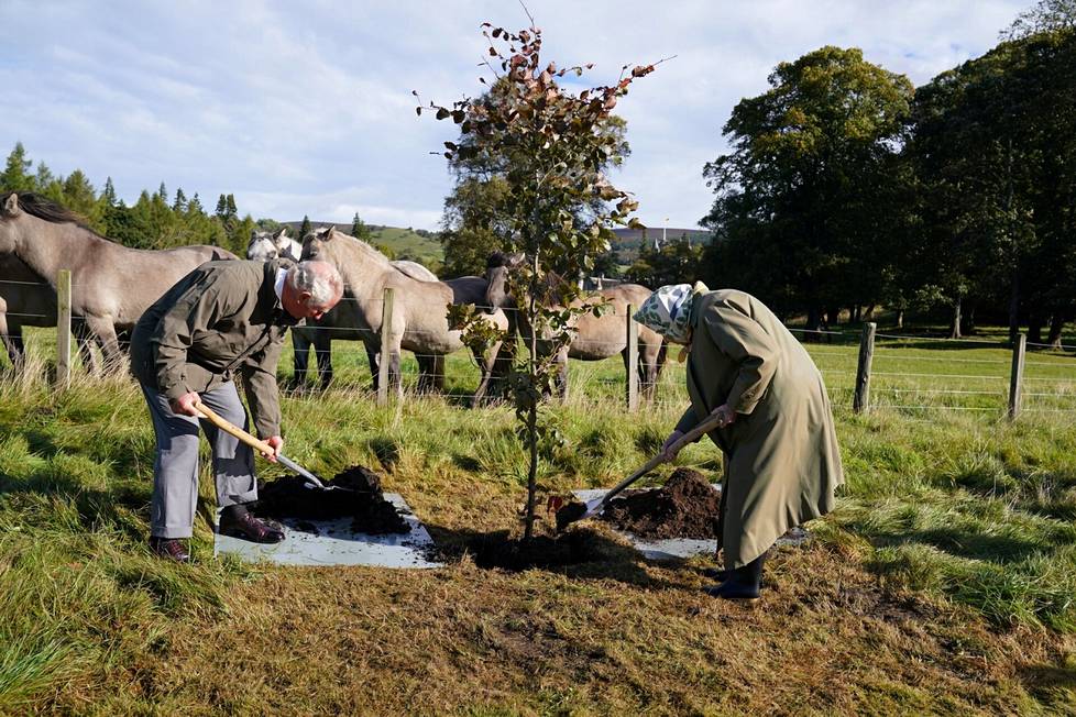 Queen Elizabeth and Crown Prince Charles launched an anniversary tree planting campaign as early as last October in Scotland.