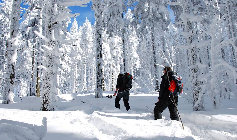 Kävely lumisessa metsässä käy kunnon harjoituksesta.