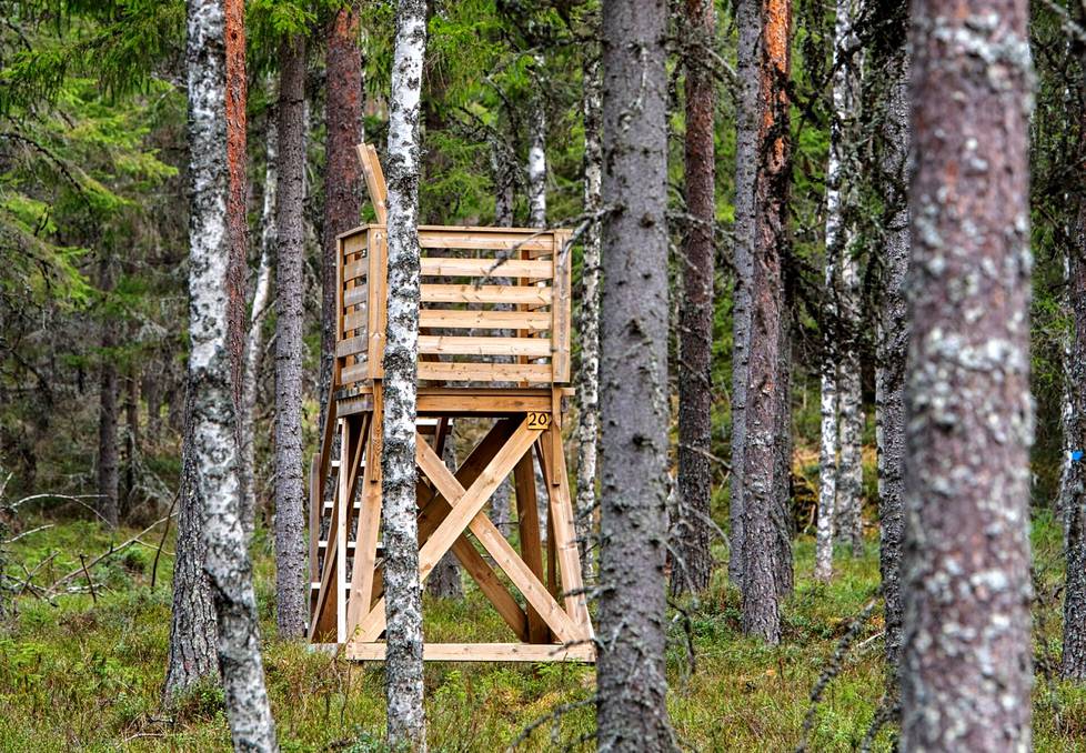 Metsähallitus on rakentanut Evon retkeilyalueelle tiheään uusia hirvenmetsästystorneja.
