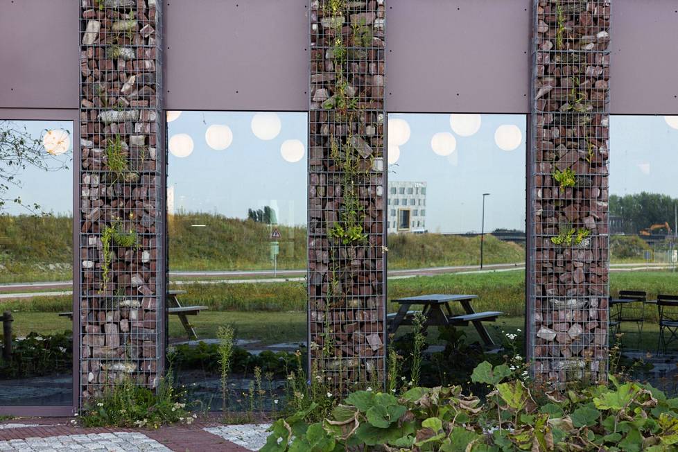 Hollannin Leidenissä sijaitsevan Biopartner 5 -rakennuksen julkisivussa hyödynnettiin tiiliä puretusta tornitalosta. Tiilet toimivat samalla kasvualustana viherkasveille.