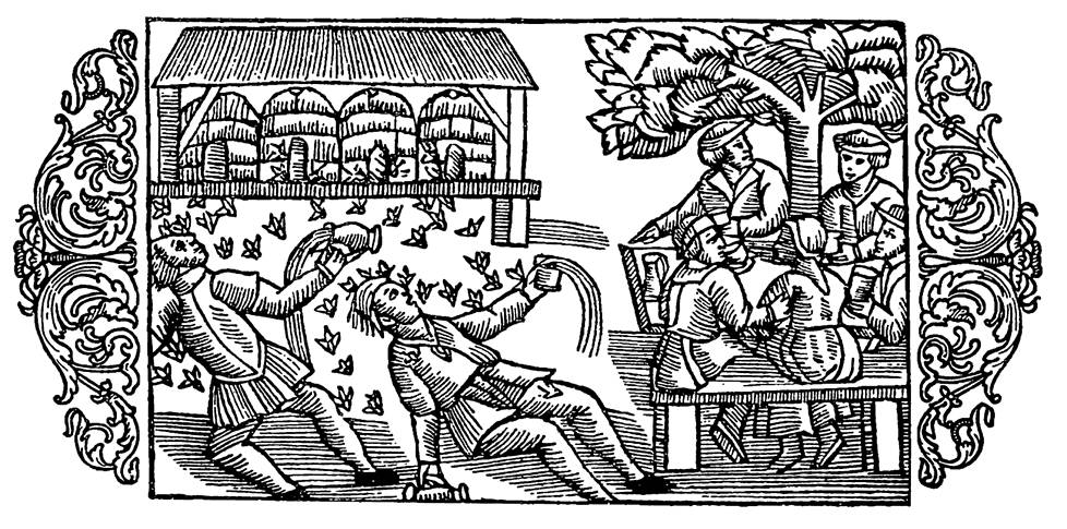 Those who enjoyed sweet soda or honey beer drew bugs after being exhausted.  The picture is by Olaus Magnus on the history of the northern peoples from 1555 and also from the book The Kingdom of Drinkers.