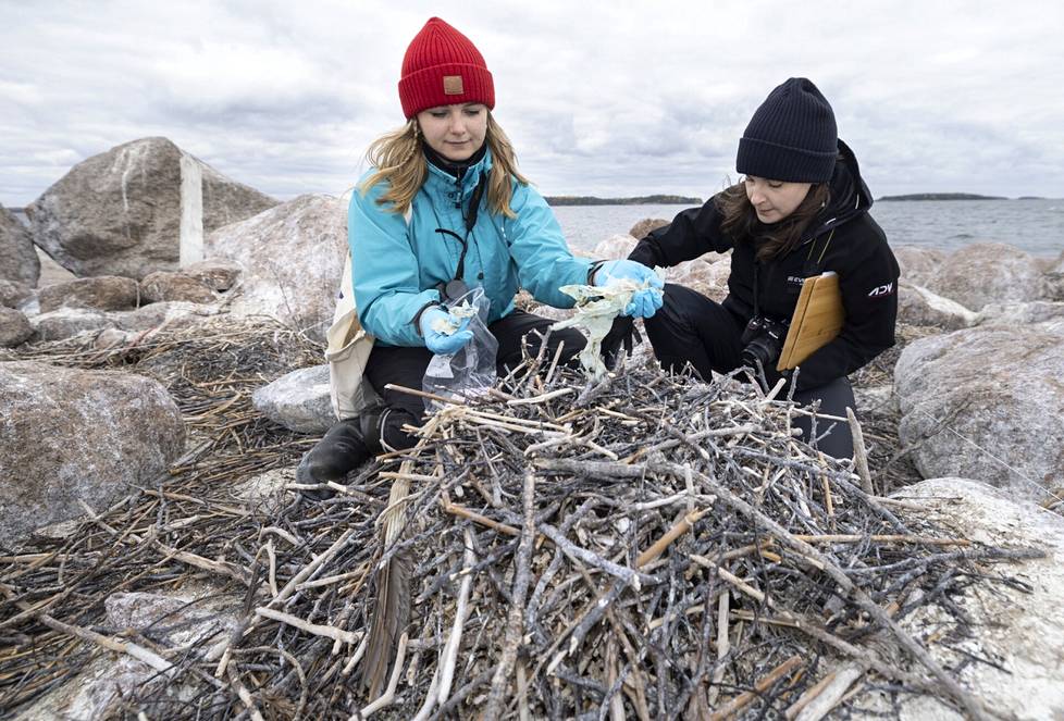 Syken tutkija Pinja Näkki (vas.) ja meriroskahankkeesta opinnäytetyötään tekevä Anni Jylhä-Vuorio tutkivat merimetson pesistä löytyneitä muoviroskia