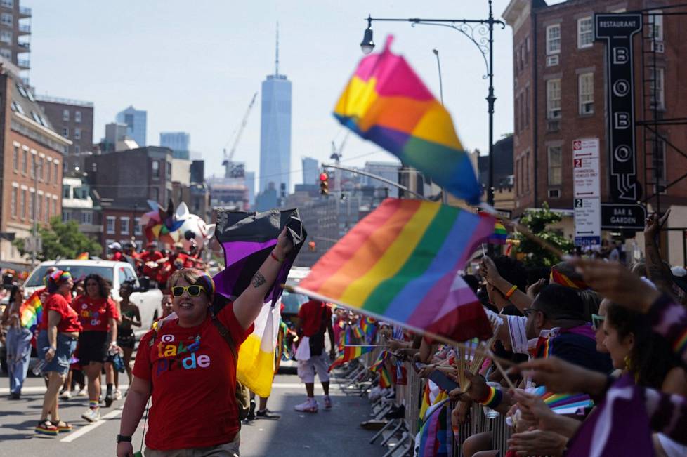 Perinteisen sateenkaarilipun lisäksi New Yorkissa näkyi myös uudempia variaatioita Pride-lipusta kuten panseksuaalisuutta kuvastava pinkin, keltaisen ja sinisen värinen lippu.