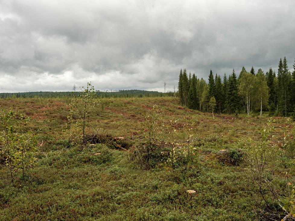 Beyond the river opens a bare landscape.