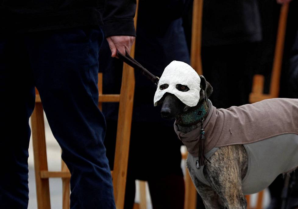 Lauantaina kadut täyttyivät pääsiäistä viettävistä maskipäisistä ihmisistä České Budějovicessa Tšekissä. Myös koira oli saanut naamion.