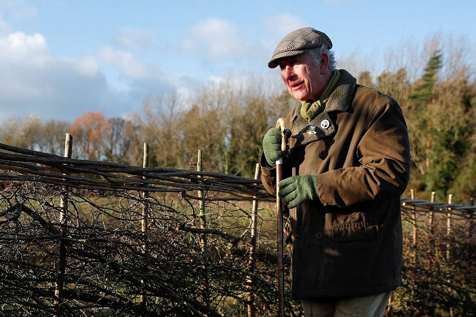 Prinssi Charles (eli nykyinen kuningas Charles) osallistui aidantekotapahtumaan Highgroven tiluksilla joulukuussa 2021. Charles on kampanjoinut maaseudun perinteisten aitamallien puolesta, koska ne tarjoavat kodin hyönteisille ja piennisäkkäille sekä torjuvat eroosiota.