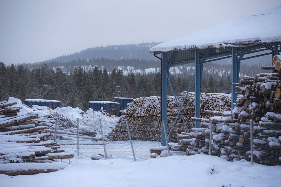 Haketettavaksi menevää energiapuuta helmikuussa Inarin kunnan energiayhtiön Inergian varastolla Ivalossa.