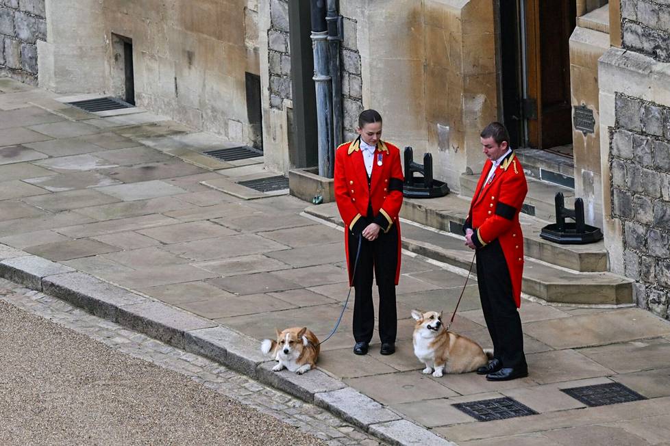 19. syyskuuta. Kuningattaren corgit, Muick ja Sandy, kävelyllä Windsorin linnan edustalla ennen kuningattaren siunaustilaisuutta.