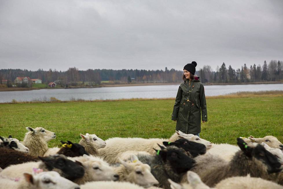Ninka Reittu asuu perheineen maatilalla Liperissä. He ovat säästösyistä vaihtamassa omistuslampaat vuokralampaisiin. ”Haluamme, että pihapiiriin jää kuitenkin myös omia lampaita. Niistä on tullut niin tärkeä osa elämäämme”, Ninka Reittu miettii.