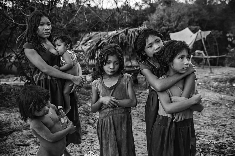 Humaitássa Amazonasin osavaltiossa Brasiliassa Maici-joen rannalla asustavan Pirahã-yhteisön naisia ja lapsia seisomassa ohikulkevan valtatien reunalla toivoen saavansa ohiajavilta syötävää ja juotavaa. Kuvattu 21. syyskuuta 2016. Lalo de Almeidan vuosien projekti nimeltä Amazonian Dystopia kuvaa Amazonin sademetsän tilannetta. Amazonin sademetsä on uhattuna, ja tilannetta on pahentanut Brasilian presidentin Jair Bolsonaron ympäristölle haitallinen politiikka. Hänen kautensa aikana metsien hävittäminen, kaivostoiminta, infrastruktuurin kehittäminen ja luonnonvarojen kiihdyttäminen ovat kiihtyneet. Vuodesta 2019 lähtien Amazonin tuho on ollut nopeimmillaan kymmeneen vuoteen. Amazonin alue on luonnoltaan poikkeuksellisen monimuotoinen ja alueella asuu yli 350 alkuperäiskansaa. Amazonin riistämisellä on runsaasti sosiaalisia vaikutuksia, kun alkueräiskansojen ympäristö ja elämäntapa kärsivät.