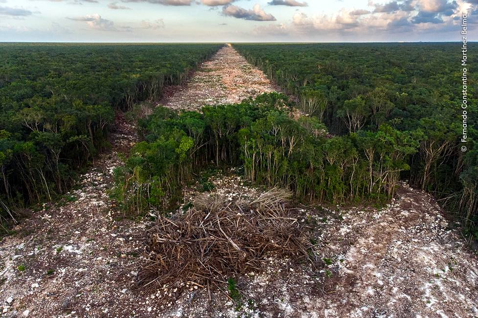 Kuvajournalismi-palkinto meni Meksikoon Fernando Constantino Martínez Belmarille. Belmar kuvasi droonilla Quintana Roon osavaltiossa olevaa metsää, jota raivataan uutta rautatietietä varten. Rautatien toivotaan lisäävän turismia, mutta luonnonsuojelijat ovat varoittaneet sen aiheuttamista vaikutuksista luontoon.