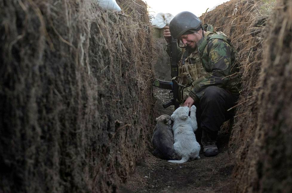 10. huhtikuuta. Ukrainan armeijan sotilas leikki koiranpentujen kanssa taisteluhaudassa Donetskissa, Ukrainassa.
