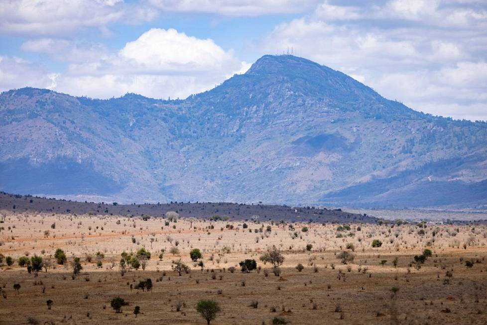 On a plateau near the Skills Mountains in southern Kenya, the savannah had lost its vegetation and color in November 2021 due to drought and overgrazing.  In addition to livestock, overgrazing in the area is also caused by wildlife such as elephants and buffaloes, whose natural hiking trails have been disrupted due to human activities.