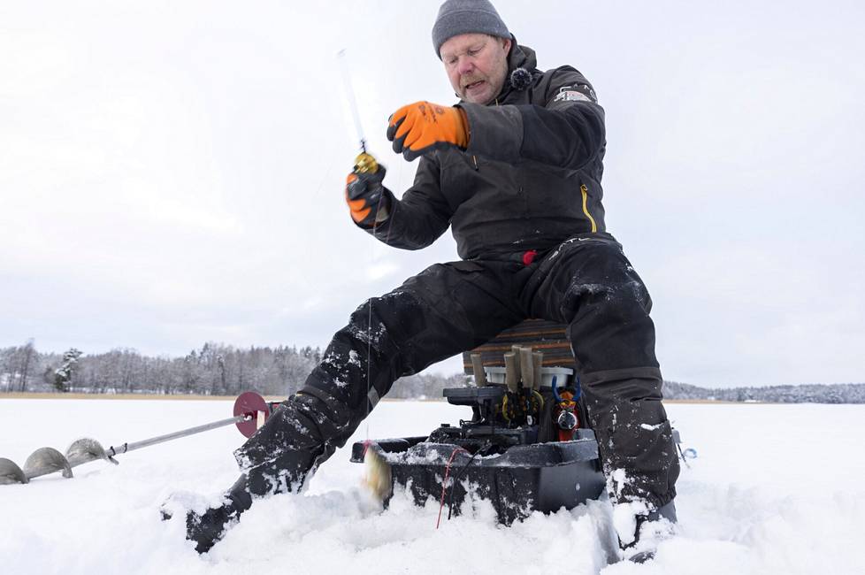 The perch rises from the opening with a couple of hand movements.  In deeper water, a so-called windmill would be needed, a rhythmic series of pulls with which the fishing line is laid on the ice. 