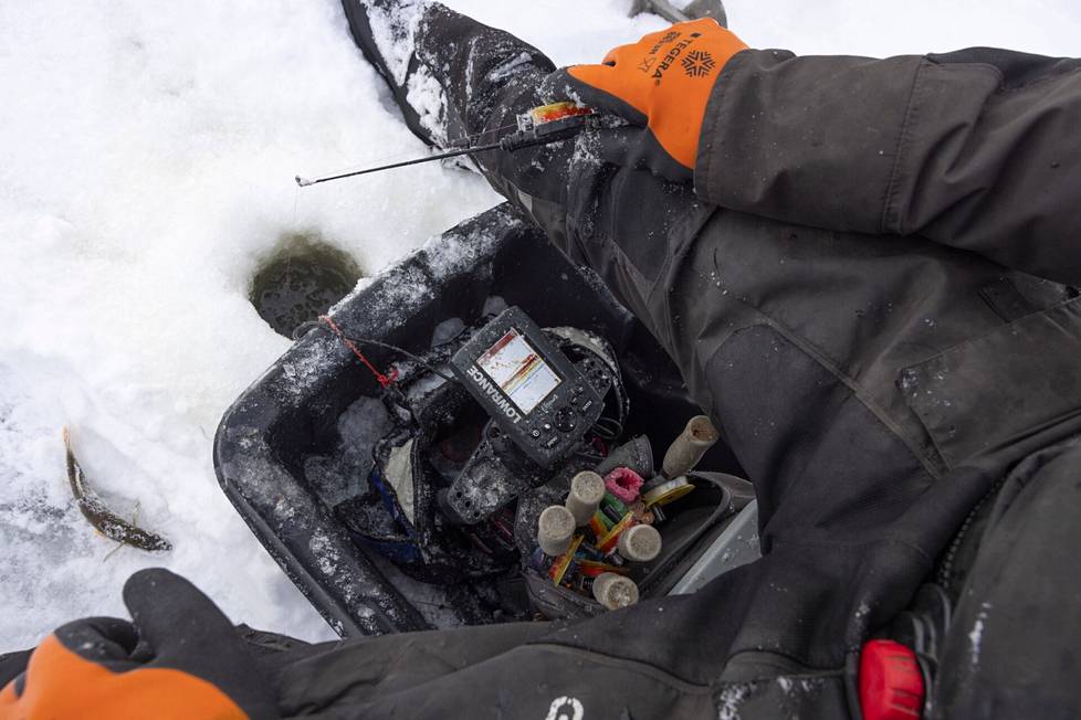 The smallmouth bass waits to get back into the opening on the ice while the fisherman is chasing more striped shirts from the same hole.  Better and after the turn of the year, the only legal way to temporarily keep the fish alive is suffocation in, for example, a bucket of water.  Of course, you can also land the fish right away, but then the school may get scared and run away. 