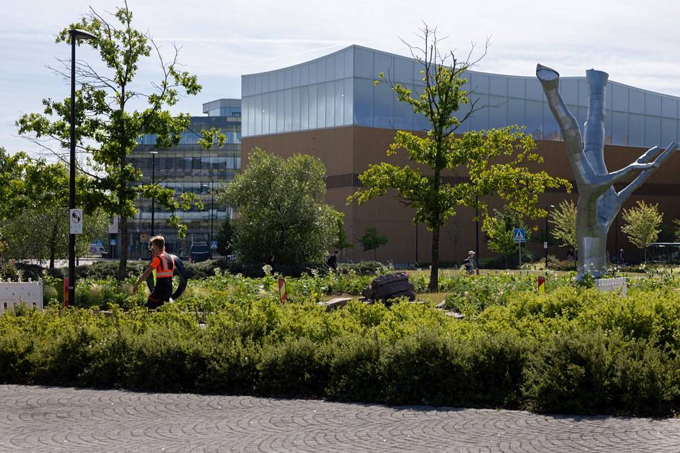 The city also increases vegetation in Töölönlahtenpuisto.