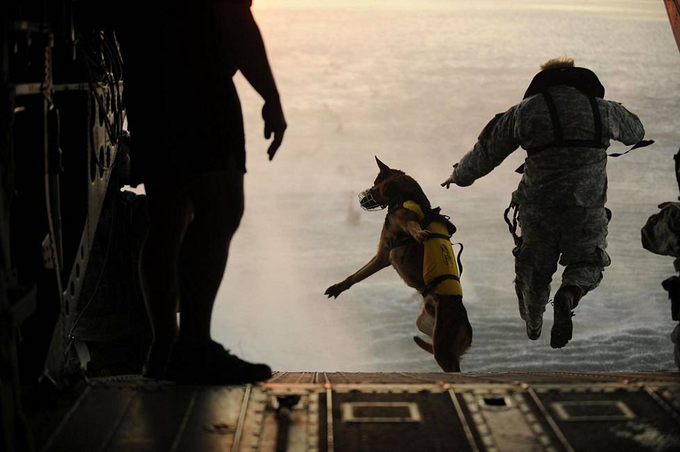 Sotilas ja koira tekivät harjoitushypyn helikopterista Meksikonlahdella vuonna 2011.