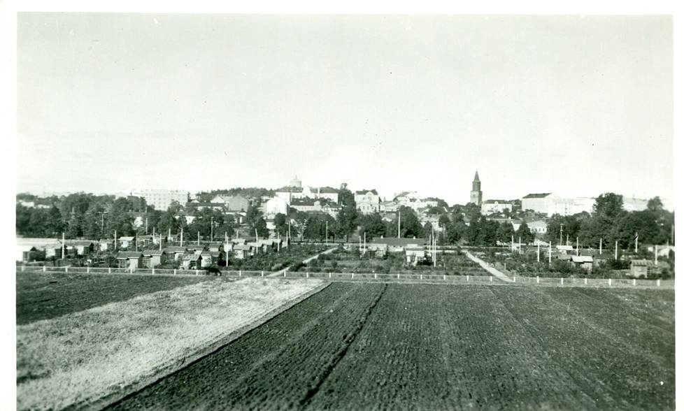 Photo from the early years of the allotment garden in Kupittaa.  In the background is the tower of Turku Cathedral.