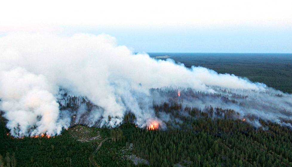 Burning terrain in Kalajoki at the end of July.