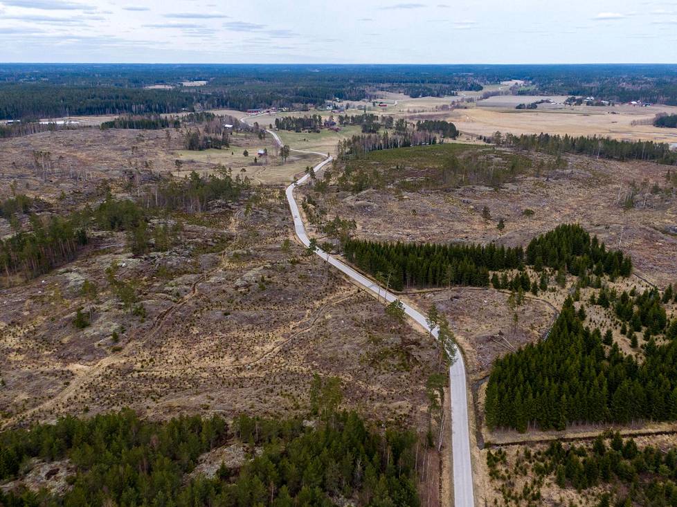 Metsäsertifikaatti saa kovaa kritiikkiä: ”Viherpesua, viestinnällistä  huijausta”, sanoo metsäekologian lehtori - Kotimaa 