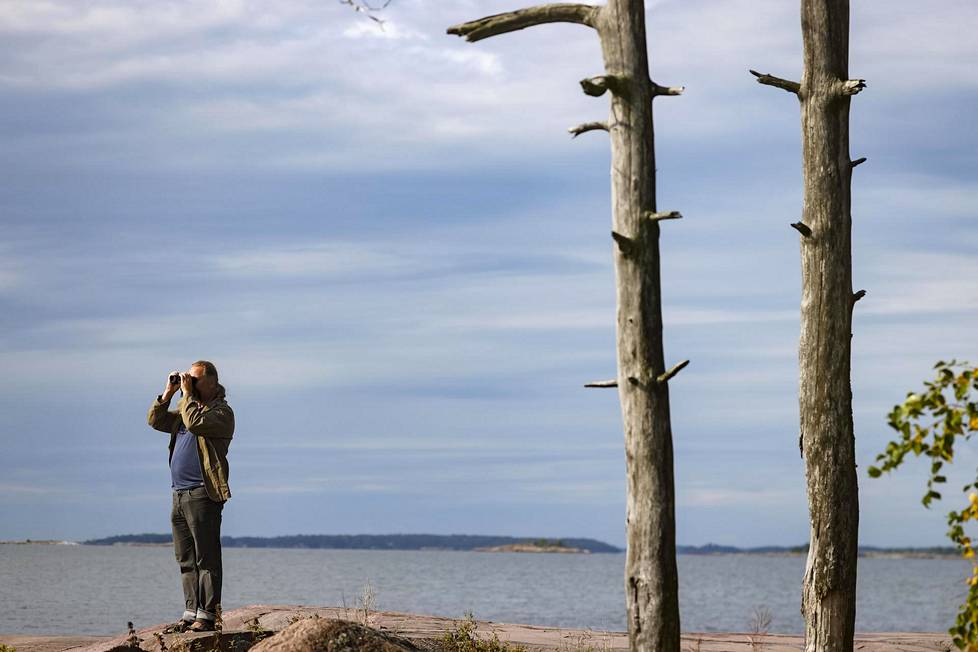 Juha Laaksonen kävelee usein Helsingin Lauttasaaren rannoilla ja kiikaroi lintuja.