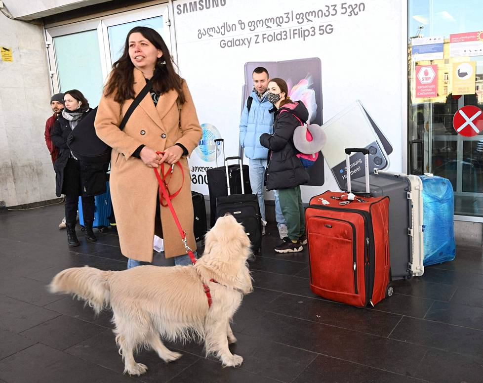 Georgiaan matkustaneet venäläiset odottivat taksia Tbilisin lentokentällä 8. maaliskuuta. Monella on mukanaan lemmikki ja useita matkalaukkuja.