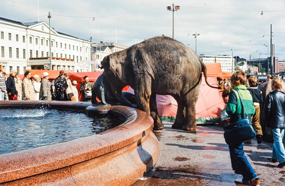 Circus elephants at Havis Amanda's fountain in 1974, the town hall on the left.  It is apparently a publicity stunt organized by a visiting circus.
