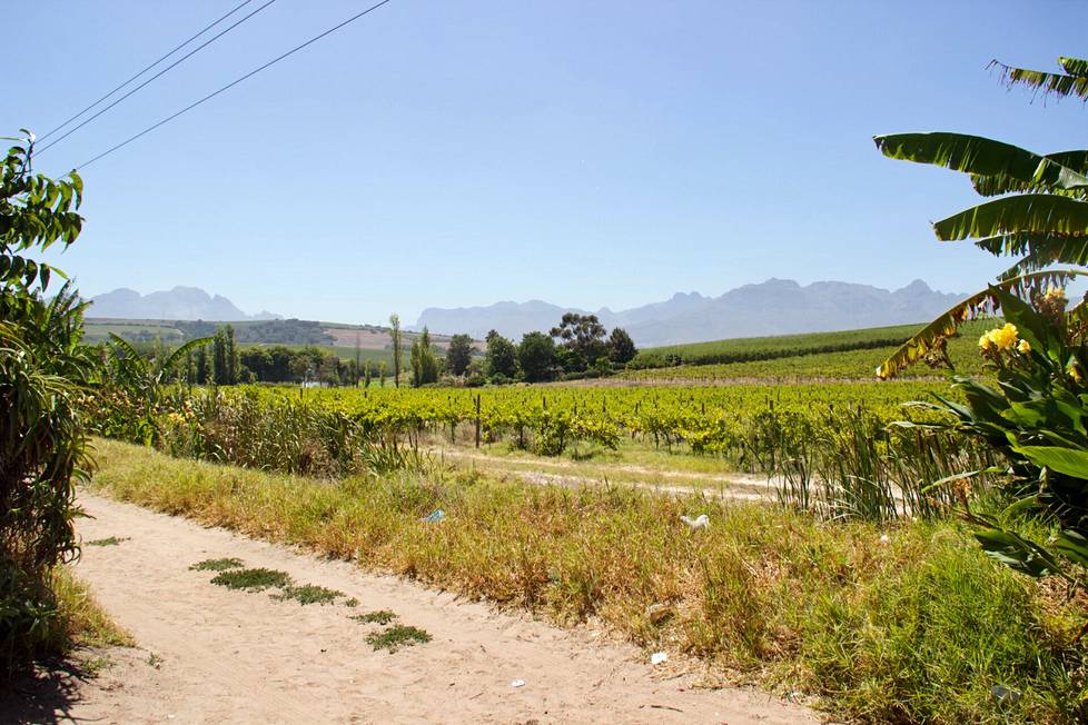 Länsi-Kapmaa ja sen kauniit viinimaisemat ovat turistien suosimaa aluetta.