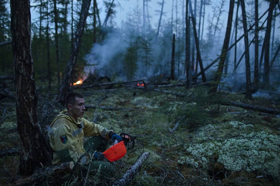 Palomies Mark Medvedkov istahtaa puolilta öin hetkeksi epäämään Ust-Aldanissa Keski-Jakutiassa. Hän on sahannut moottorisahalla tunteja käytävää, jolla yritetään pysäyttää metsäpalon leviäminen.