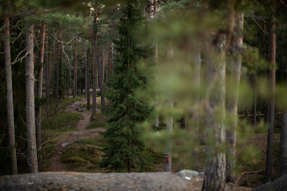 HS:n haltuunsa saama EU-luonnos toisi valtavat vaikutukset: Jopa kolmasosa Suomen  pinta-alasta saatettava takaisin kohti luonnontilaa - Kotimaa 