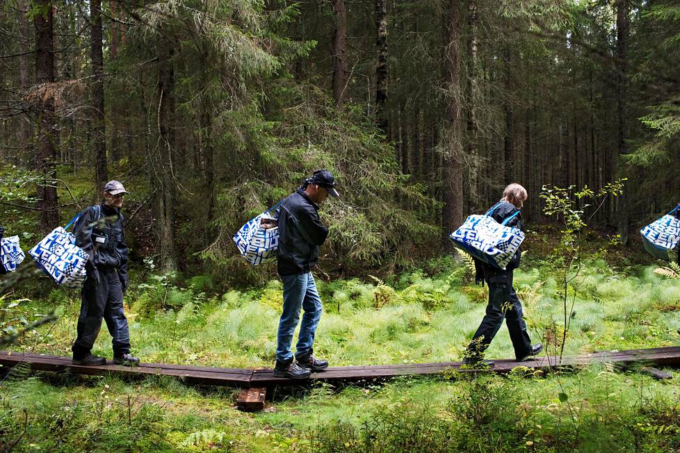 Pitkäaikaistyöttömistä koostuva ryhmä kantaa Teiskon metsässä polttopuita yleiselle taukopaikalle. He kävelevät pitkin itse kesällä asettelemiaan pitkospuita, joiden mukaan kyseinen kuntouttavan työtoiminnan ryhmä on myös saanut nimensä.