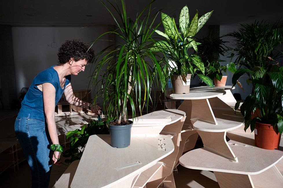 Arkkitehti Maria Salas Mendoza asetteli viherkasveja paikkoihin, joihin päästetään valoa.