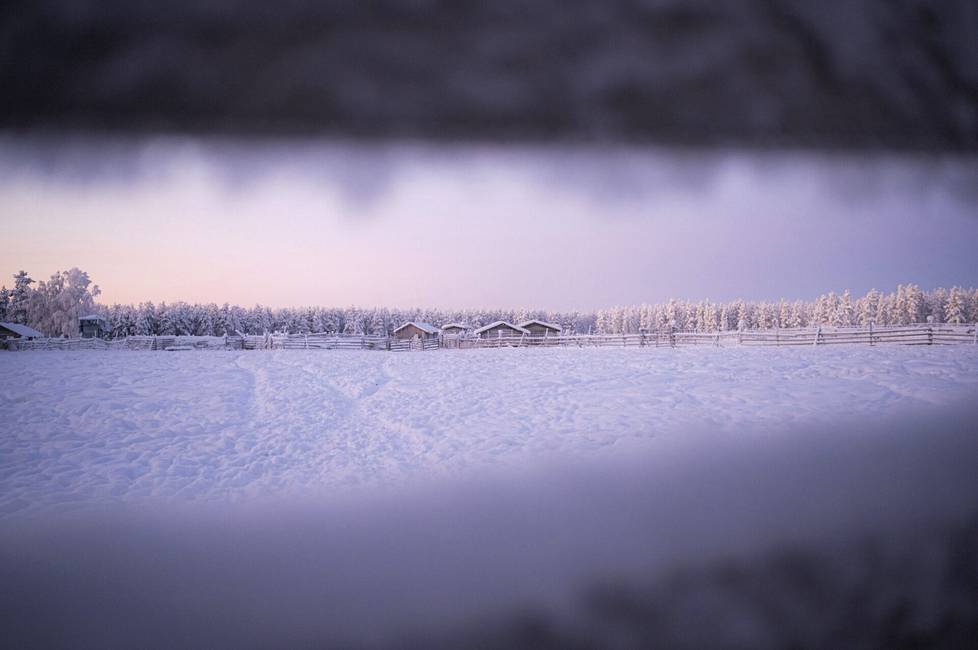 Aino Kiuru's work site in Sodankylä Kersilö at the beginning of January.
