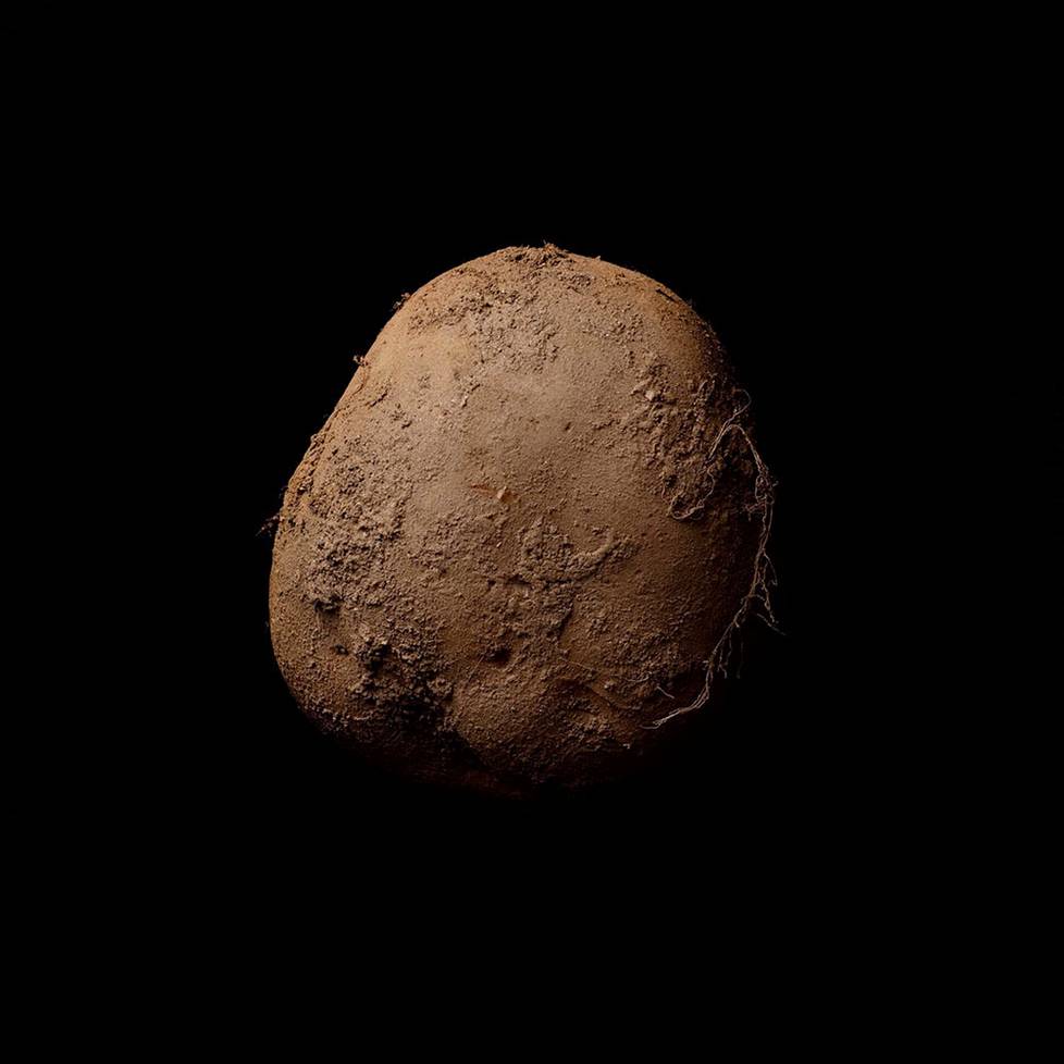 Kevin Aboschin Potato #345 on  miljoonan euron valokuva.